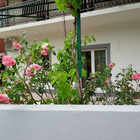 Apartmani Alma Скрадин Экстерьер фото